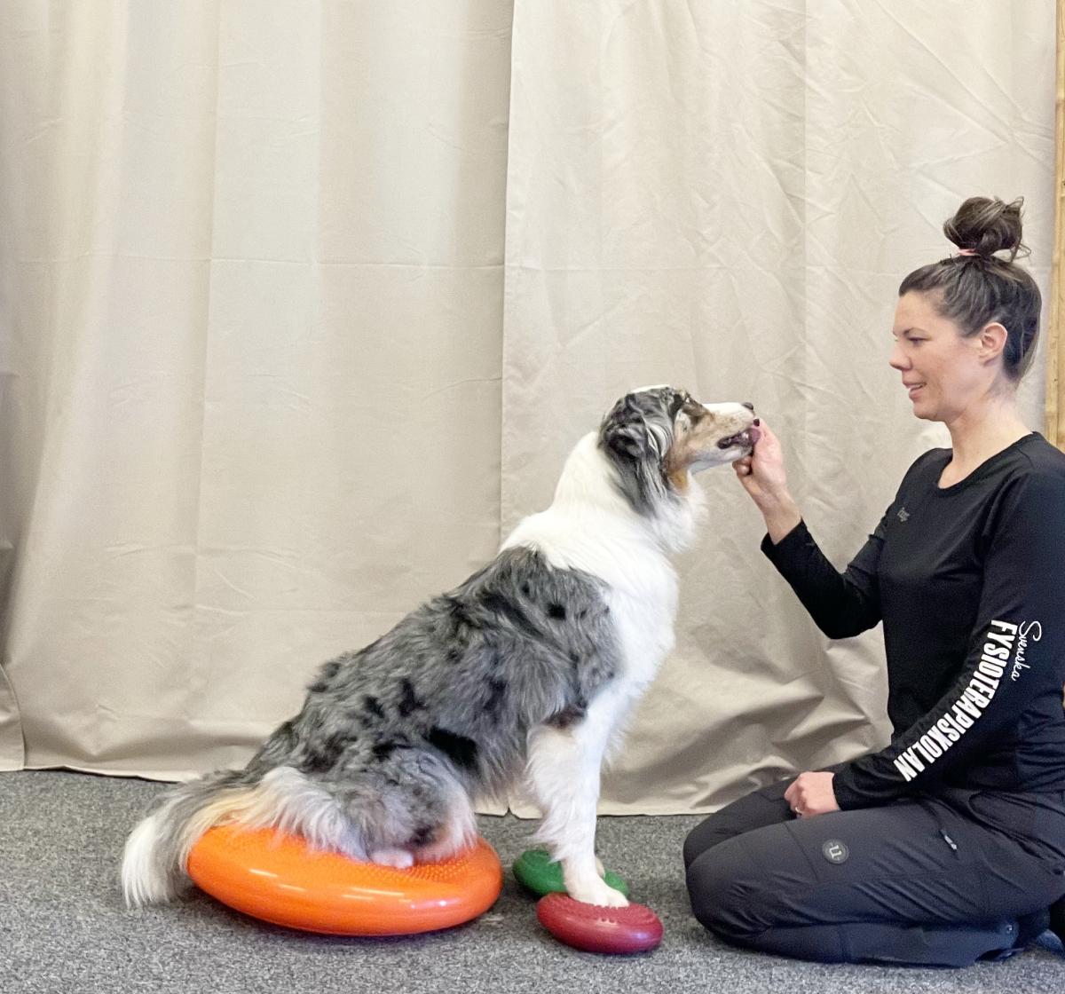 Grundkurs balansbollsträning - www.gulare.com