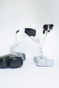 Dogbone Balance Pad- Giant - www.gulare.com