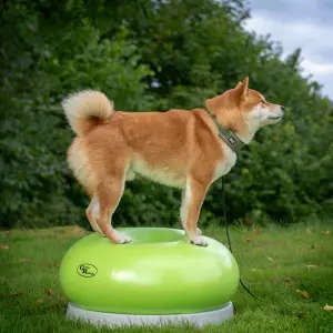 Donut boll - www.gulare.com