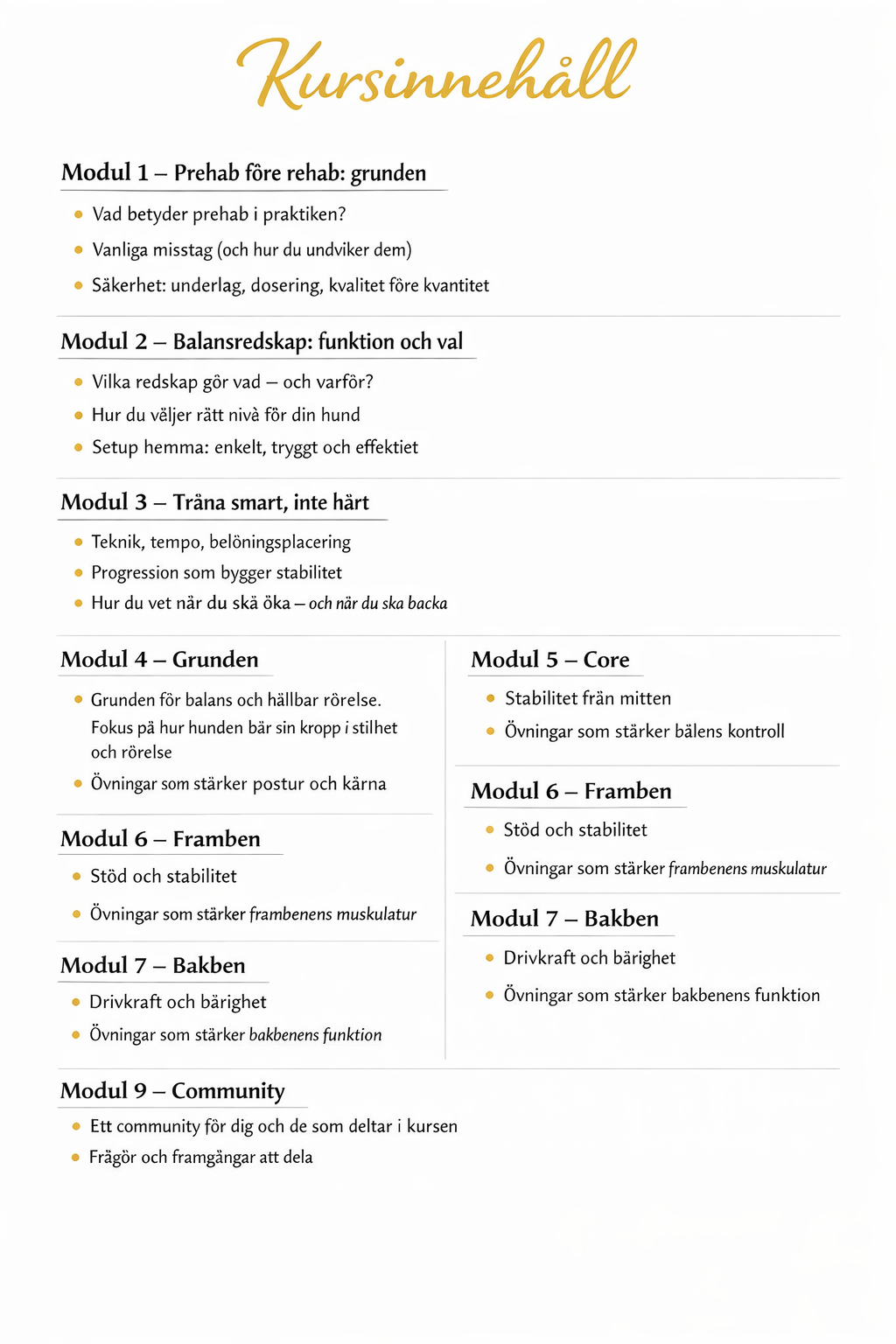 Prehab före Rehab- bygg en starkare hund - www.gulare.com
