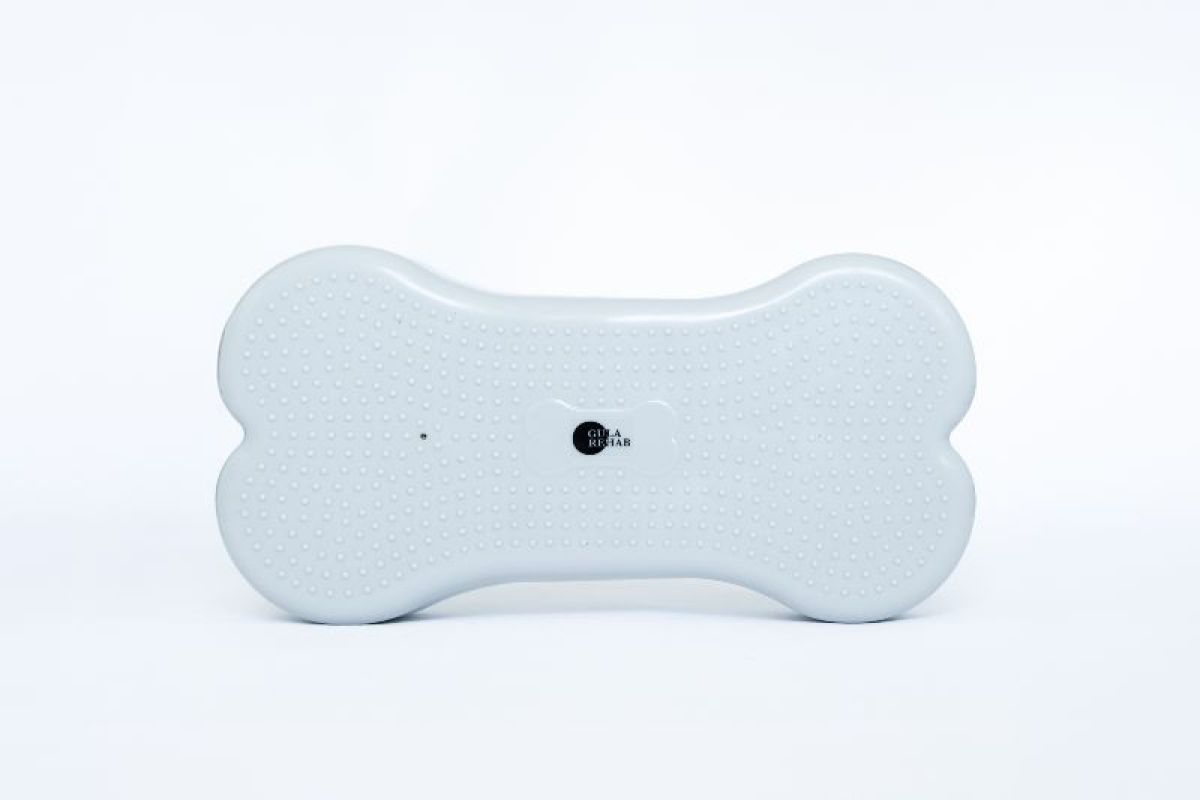 Dogbone Balance Pad- Regular - www.gulare.com
