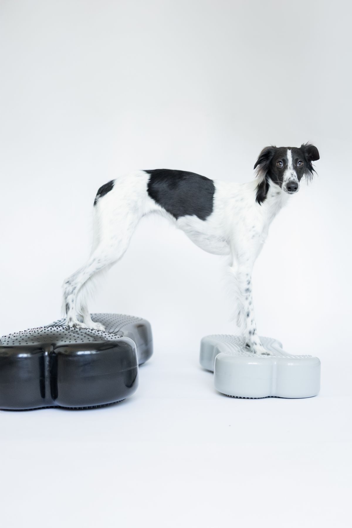 Dogbone Balance Pad- Giant - www.gulare.com