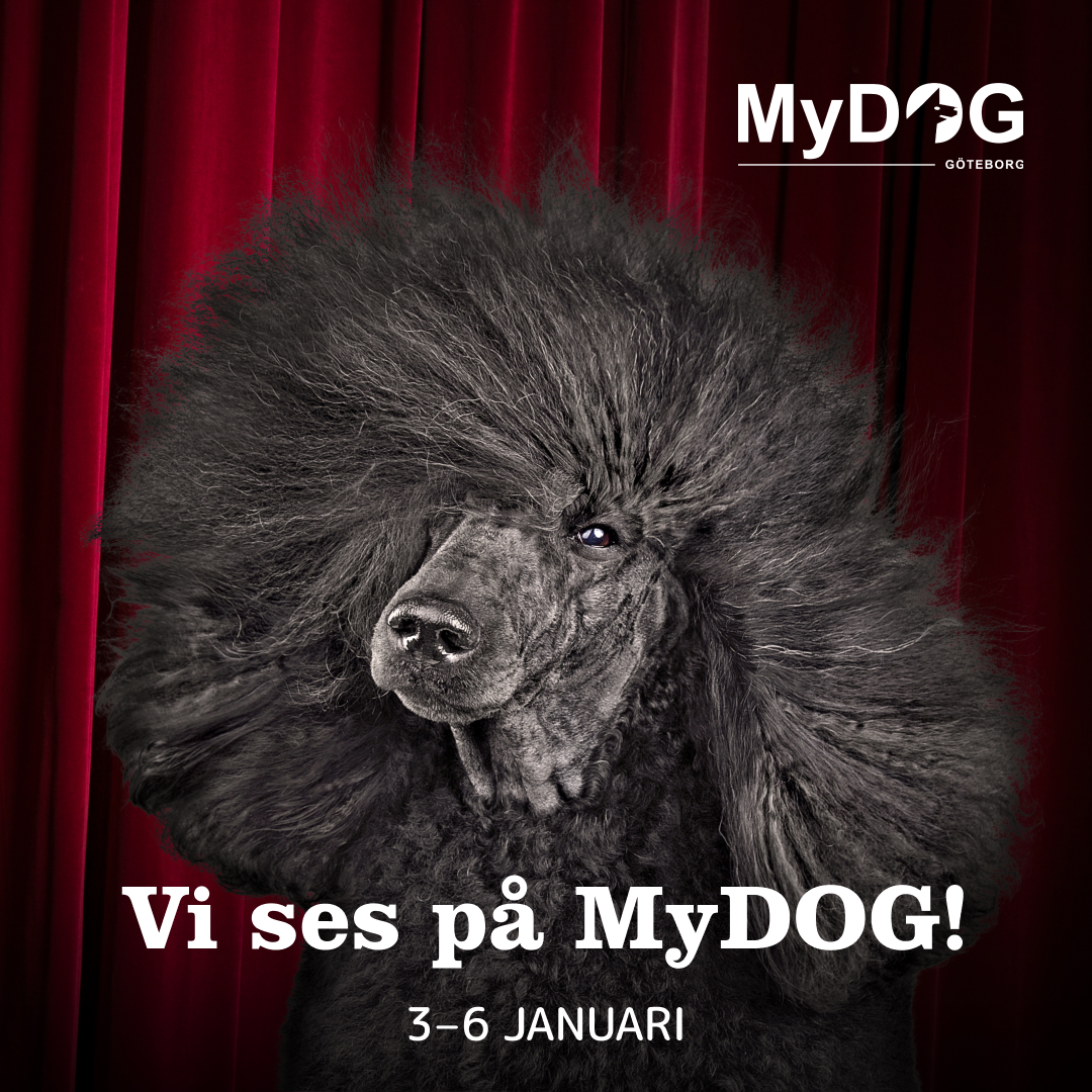 Entrébiljett MyDOG 2026 - www.gulare.com