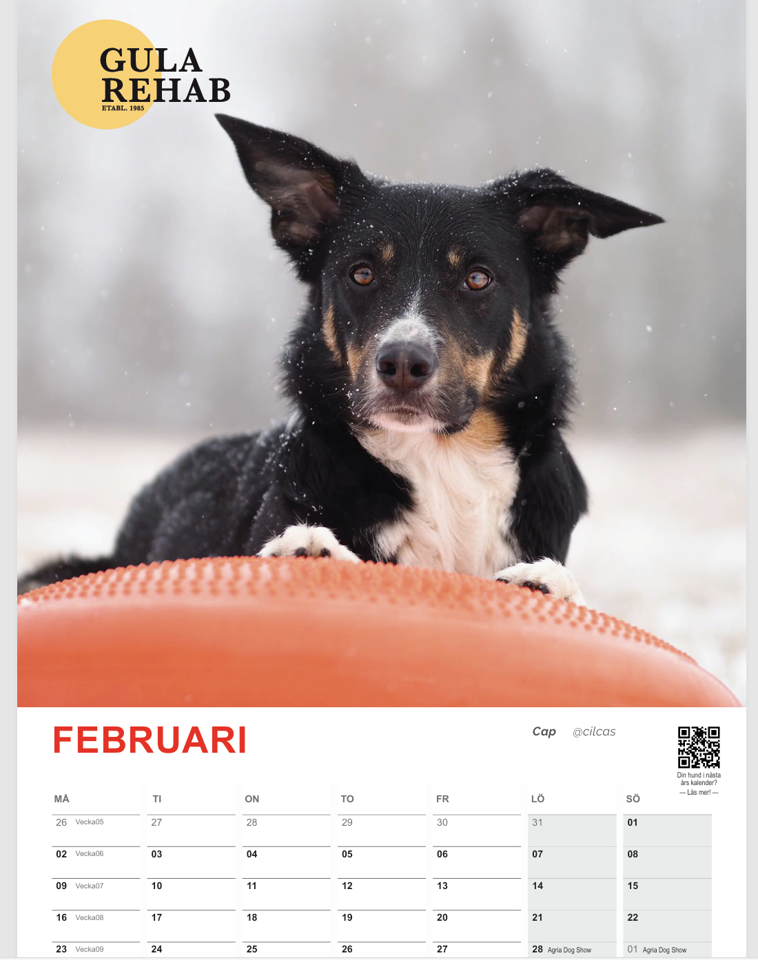 Gula Rehab Almanacka 2026 - www.gulare.com