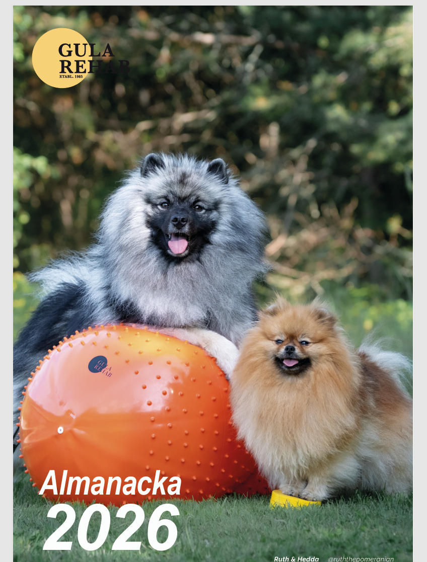 Gula Rehab Almanacka 2026 - www.gulare.com