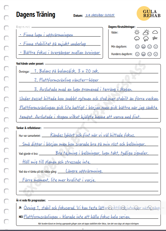 Träningsdagbok för dig och din hund - www.gulare.com