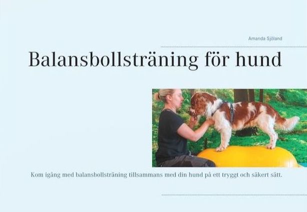 Bok- Balansbollsträning för hund - www.gulare.com