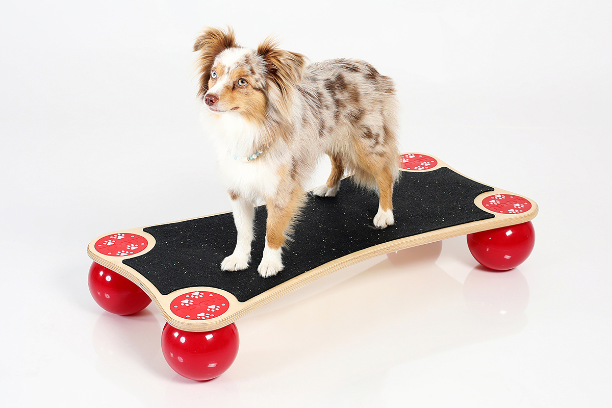Balansbräda Ballstep ANIMAL - www.gulare.com