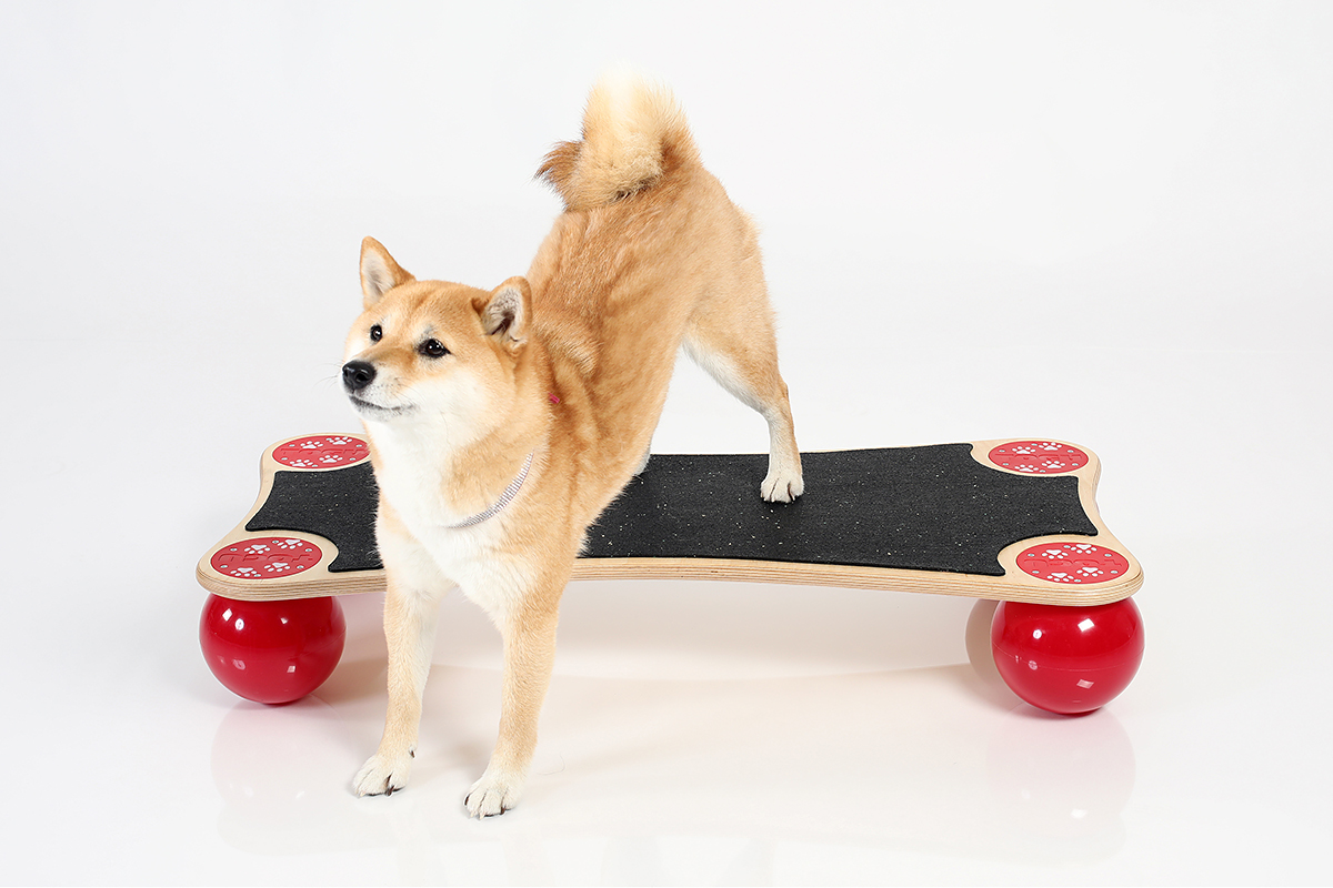 Balansbräda Ballstep ANIMAL - www.gulare.com