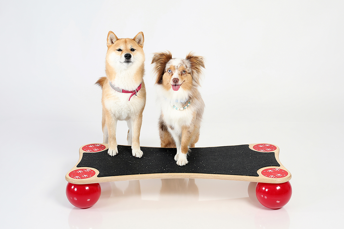 Balansbräda Ballstep ANIMAL - www.gulare.com