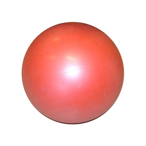 Pallone gymn.boll 55cm rosa - www.gulare.com